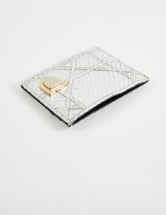 Porte-cartes de crédit DIOR python argent