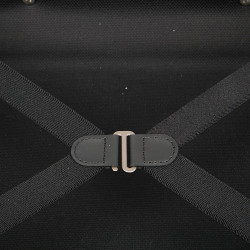 Valise cabine LOUIS VUITTON Horizon 50