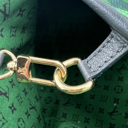 LOUIS VUITTON Ailleurs Aventure Limited Edition Tote Bag