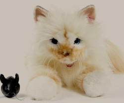 Peluche Choupette KARL LAGERFELD