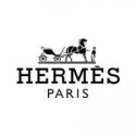 Carré HERMES Triomphe du Paladin