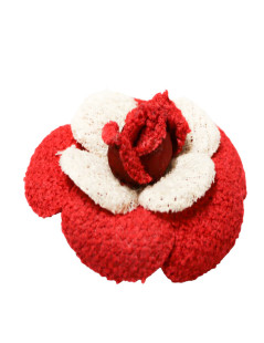 Broche camélia CHANEL bicolore