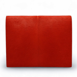 Pochette CELINE rouge 