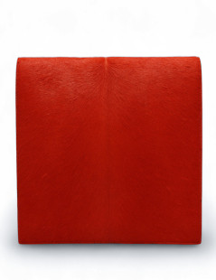 Pochette CELINE rouge 