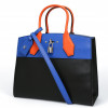 Sac City Steamer LOUIS VUITTON tricolore