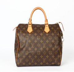 Speedy 30 LOUIS VUITTON monogram