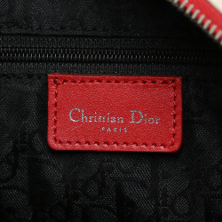 Sac Boston hardcore DIOR poison percé