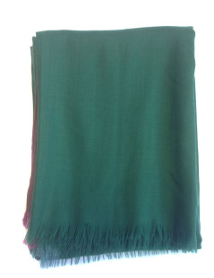 Shawl HERMES fringe green English silk