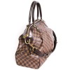 LOUIS VUITTON damier canvas bag