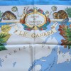 Square "Samuel Champlain, the Canada" HERMES silk sky blue