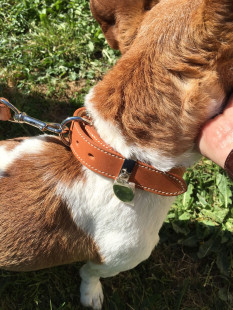 Collier et laisse HERMES pour chien en cuir marron