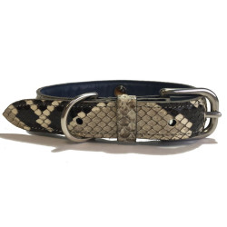 Collier et laisse petit chein PETS & STONES en python naturel