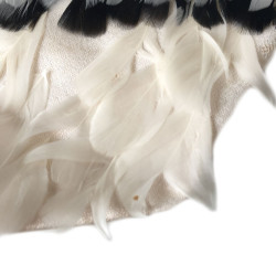 Cravate CHANEL couture plumes d'oie