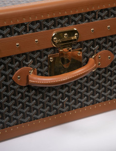 GOYARD Monogram large and rigid travel trunk 