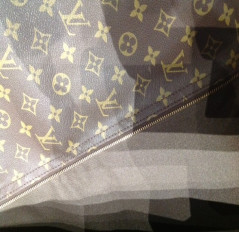 Cover carries LOUIS VUITTON Monogram Canvas clothes